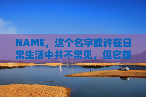 NAME，这个名字或许在日常生活中并不常见，但它却在某些领域里扮演着重要的角色。今天，让我们一起来探索这个名字背后的故事和意义