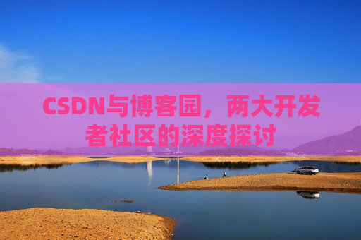 CSDN与博客园，两大开发者社区的深度探讨